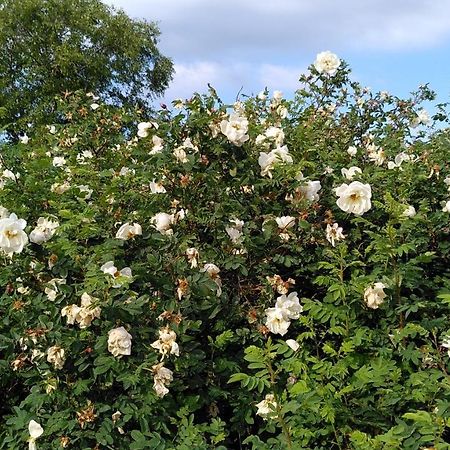 Lilla Mysstuga I Havsnaera Varberg Exterior foto